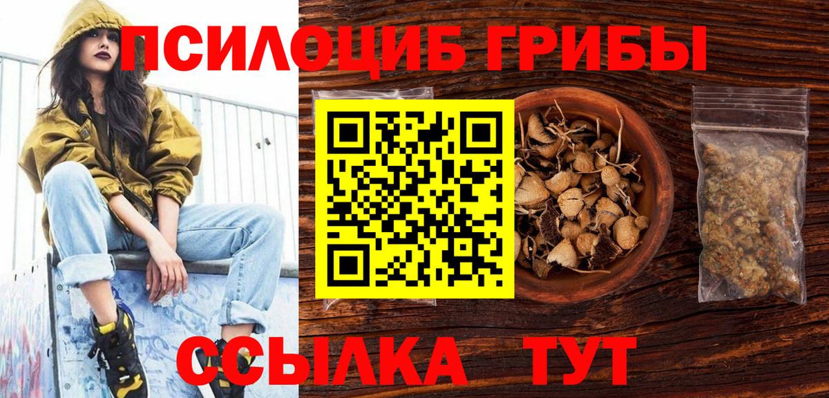 Псилоцибиновые грибы Psilocybe Верхний Уфалей