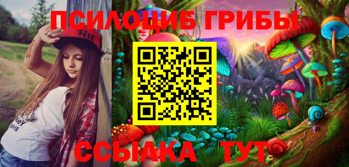 Псилоцибиновые грибы мицелий  Вход с VPN  Верхний Уфалей 
